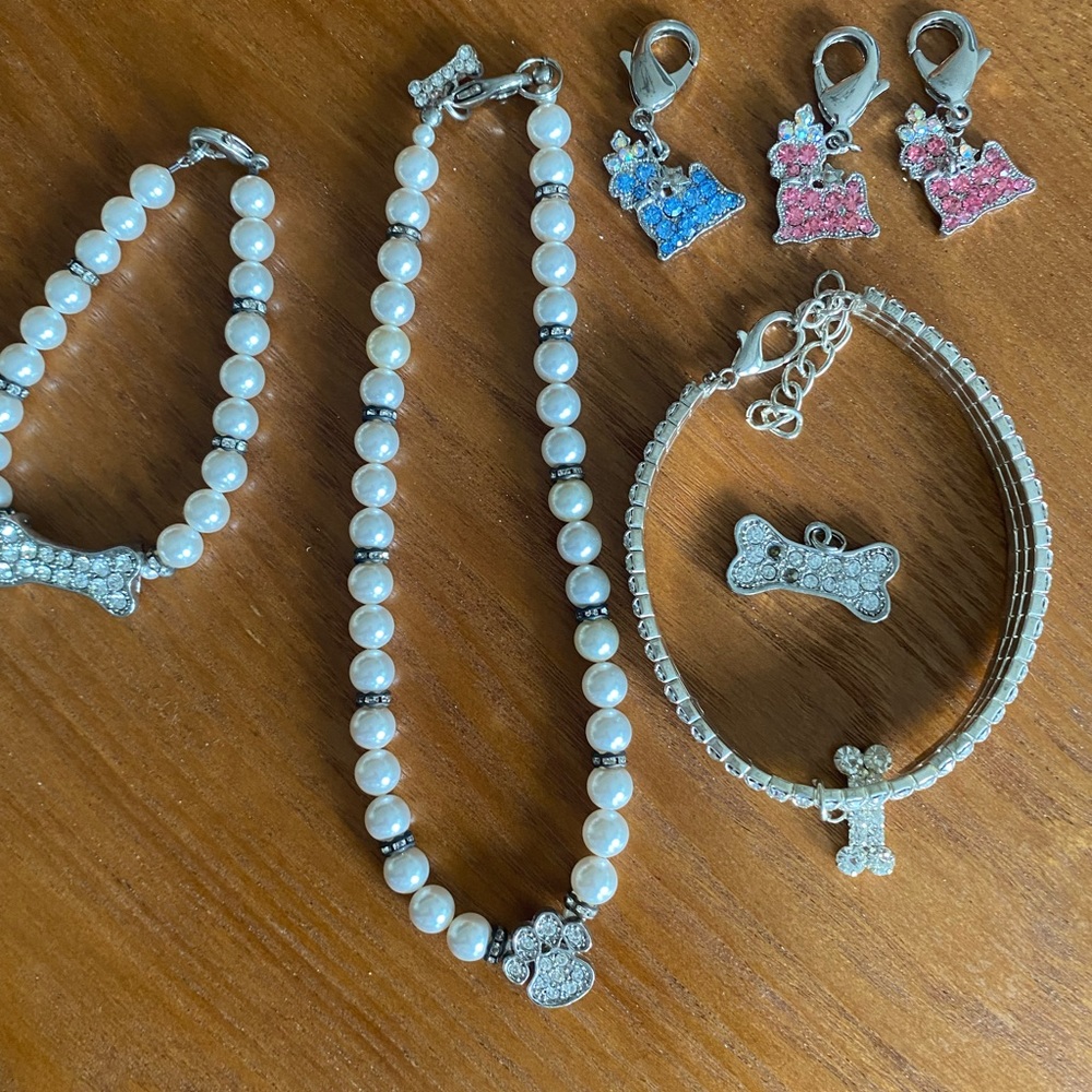 Miscellaneous pet jewelry